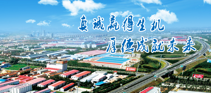 龙口龙油燃油喷射有限公司